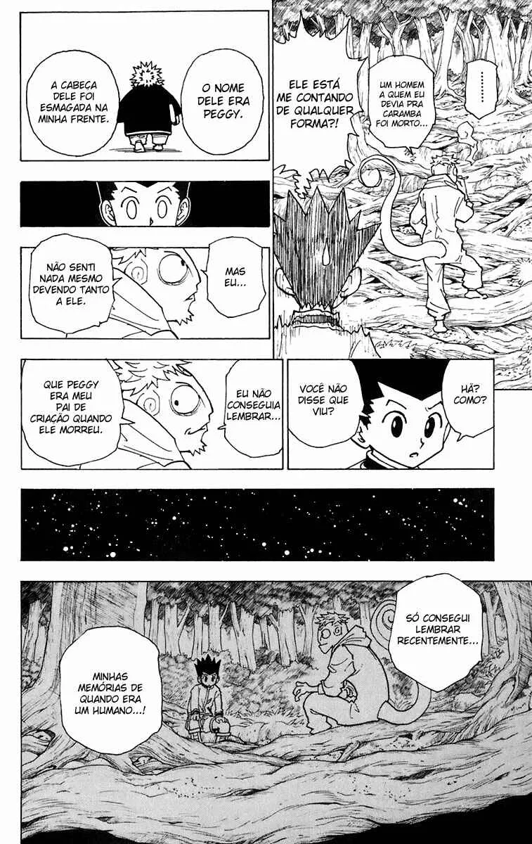 HUNTER x HUNTER — Cap. 242, pág. 13