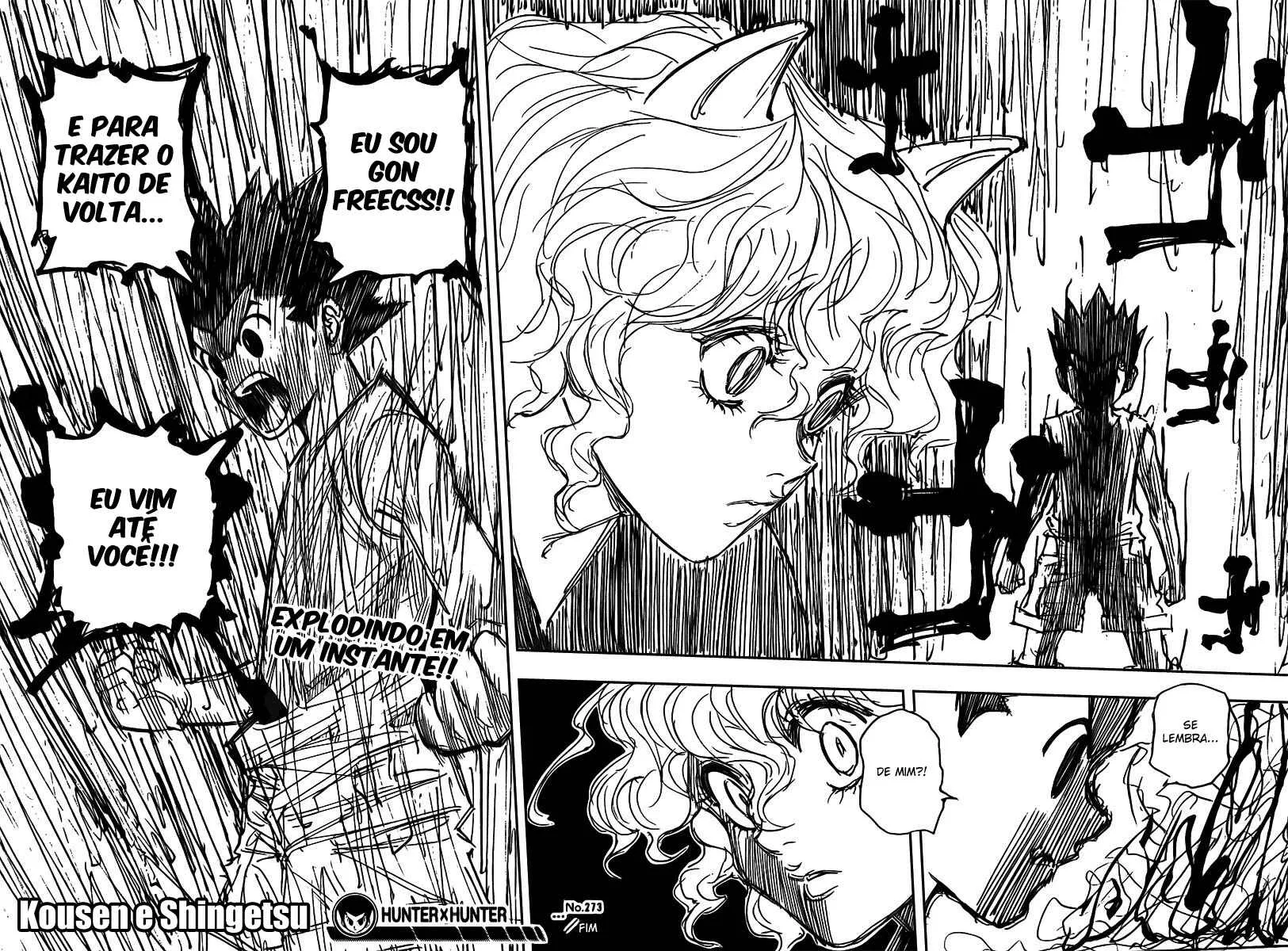 HUNTER x HUNTER — Cap. 273, pág. 19