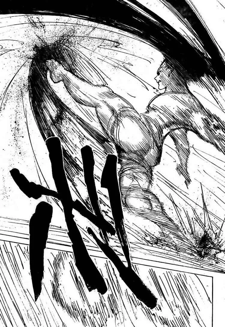 HUNTER x HUNTER — Cap. 306, pág. 8